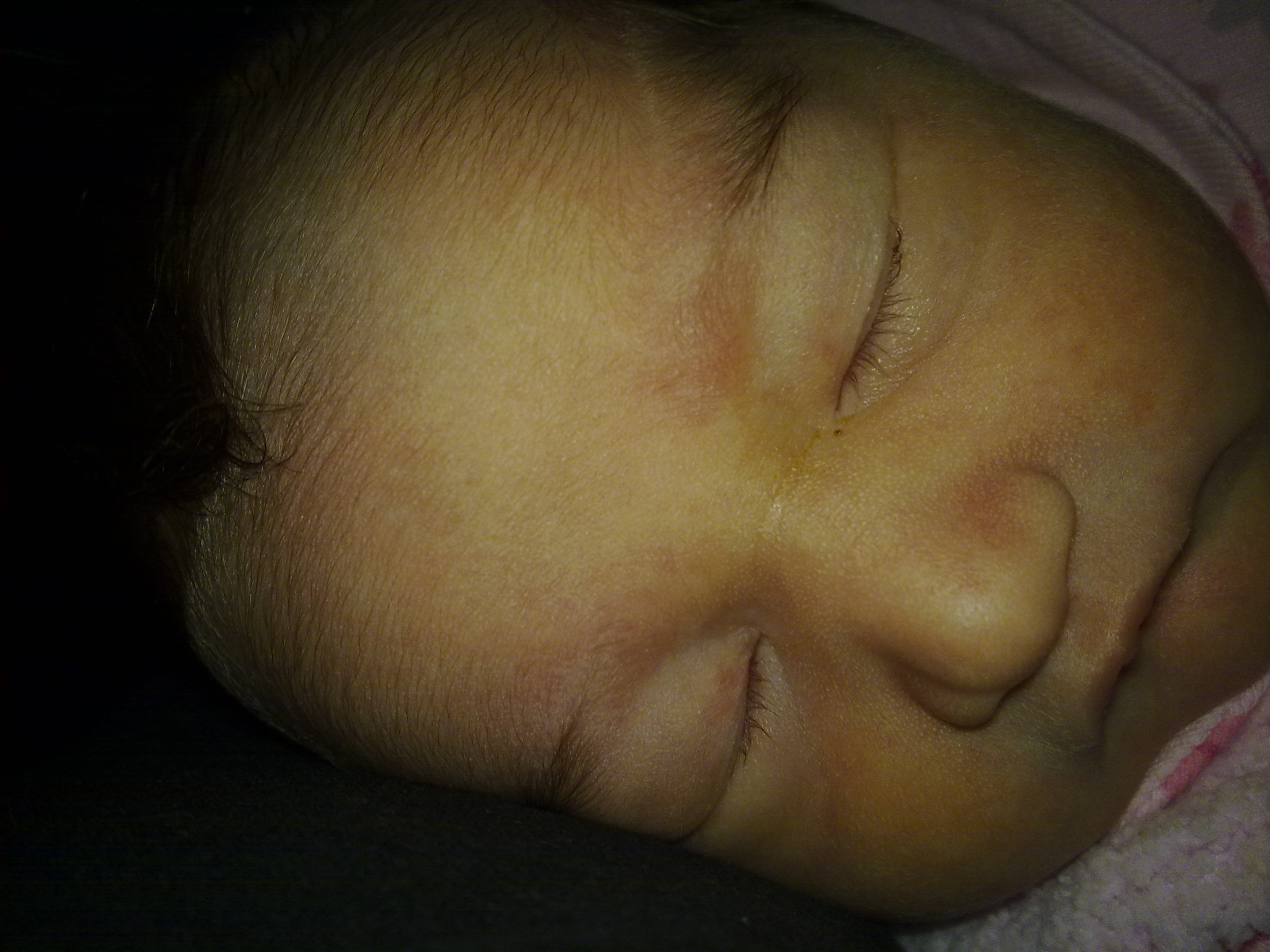 fotos/2010-06-17 - Primer baño Iara/17062010444.jpg